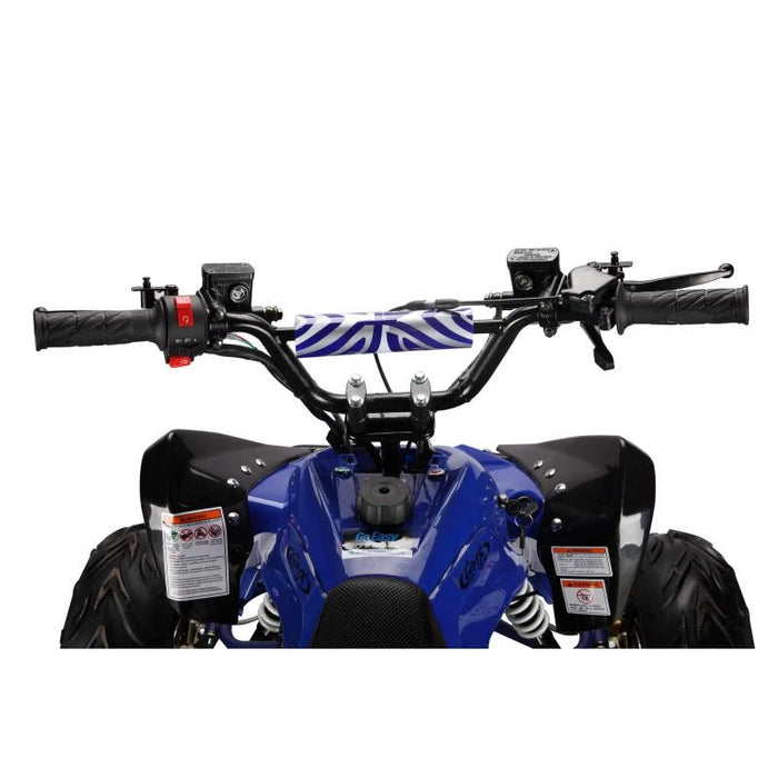 The Beast GMX 110cc Sports Kids Quad Bike - Blue