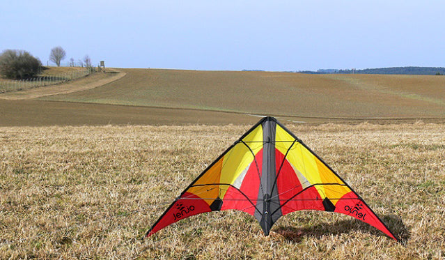 Stunt Kite
