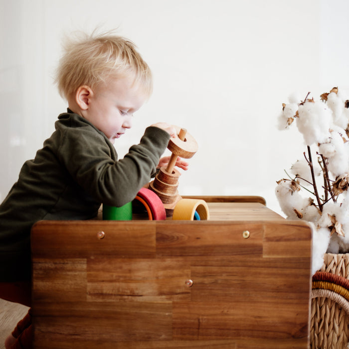3 in 1 Toddler Chair
