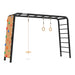 BERG disc swing made for the PlayBase system