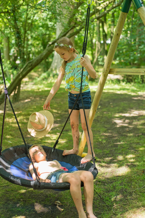 Plum Spider Monkey Nest Swing Set