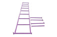 Aussie Swings 3.0m Steel Monkey Bar - Purple - Outdoor Play Equipment