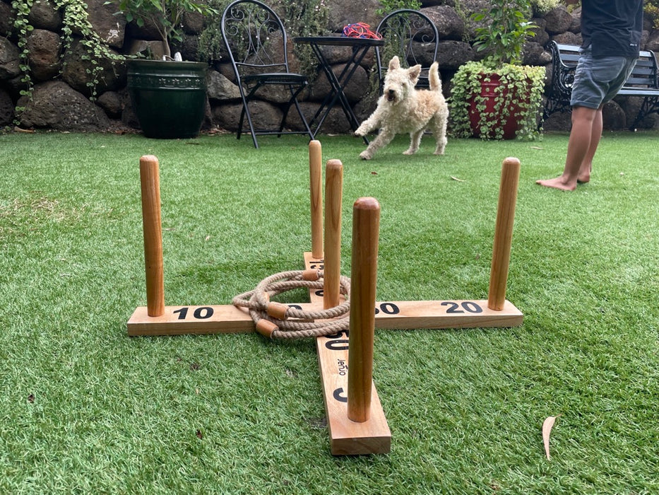 Giant Quoits Game