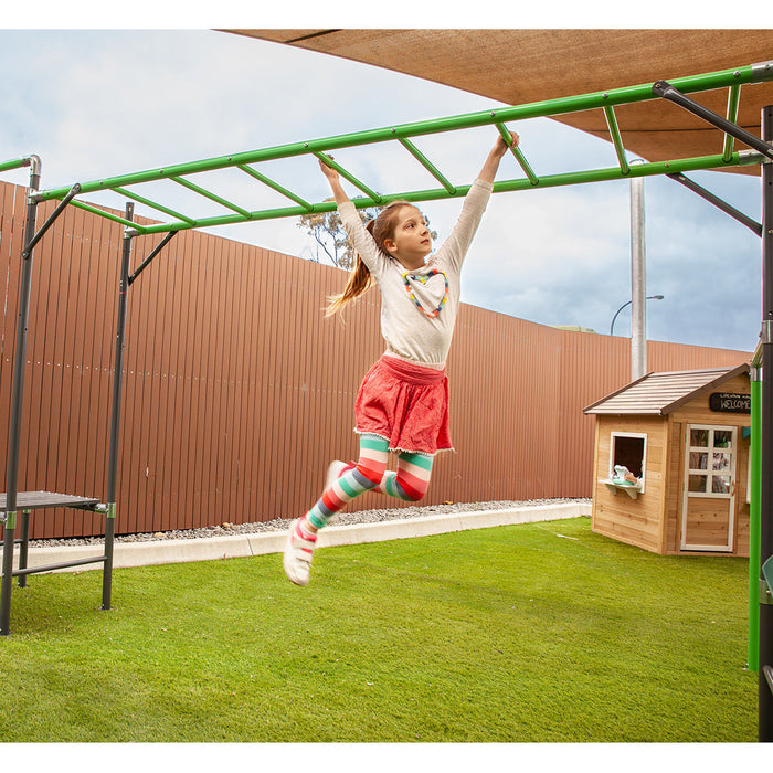 Junior Jungle Madagascar monkey bars