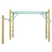 Lifespan Kids Amazon 2.5m Monkey Bar Set with Gymnastics Bar - Mid Swing Sets