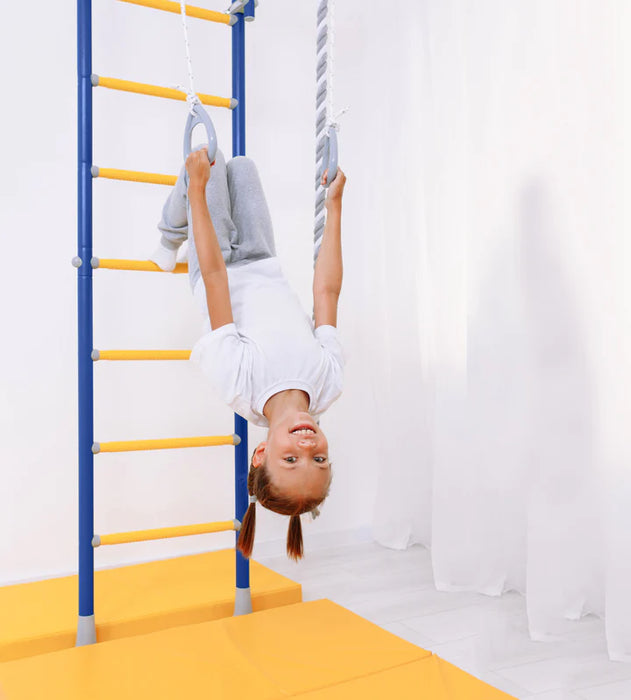 Tinnitots Swedish Indoor Kids Climbing Frame
