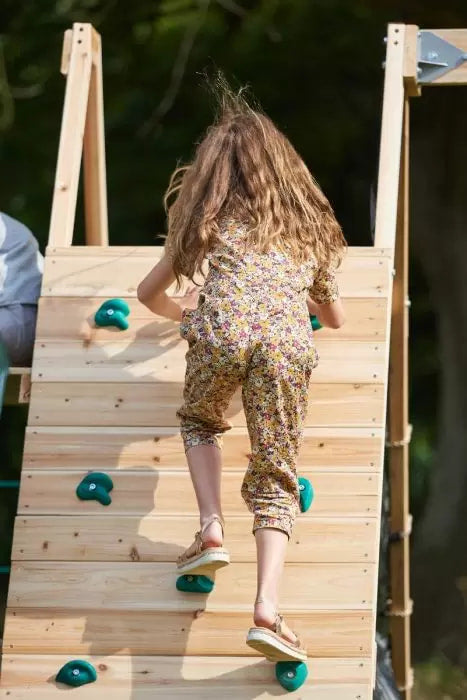 Plum Climbing Pyramid with Swings