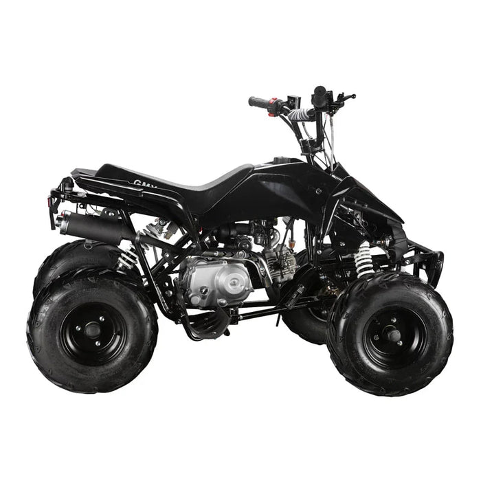 The Beast GMX 110cc Sports Kids Quad Bike - Black - Quad Bike