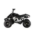 The Beast GMX 110cc Sports Kids Quad Bike - Black - Quad Bike