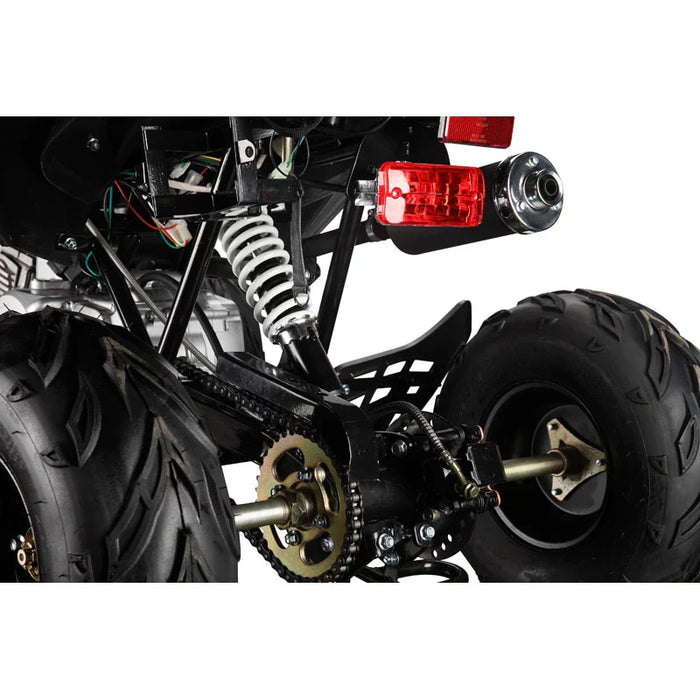 The Beast GMX 110cc Sports Kids Quad Bike - Black - Quad Bike