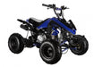 The Beast GMX 110cc Sports Kids Quad Bike - Blue - Quad Bike