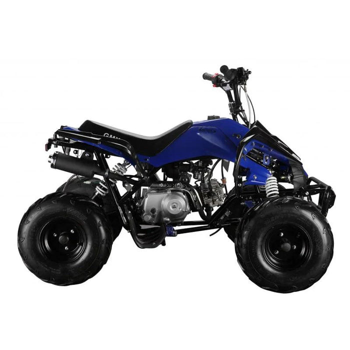 The Beast GMX 110cc Sports Kids Quad Bike - Blue - Quad Bike