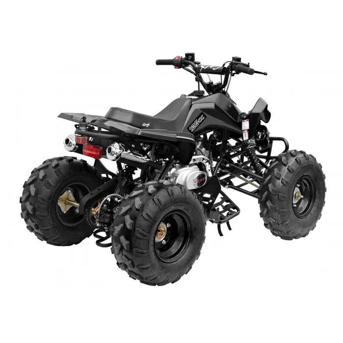 The Beast GMX 125cc Sports Kids Quad Bike - Black - Quad Bike