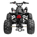 The Beast GMX 125cc Sports Kids Quad Bike - Black - Quad Bike