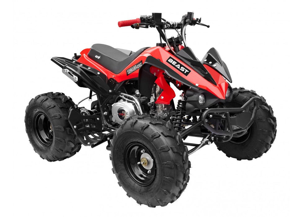 The Beast GMX 125cc Sports Kids Quad Bike